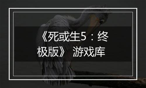 《死或生5：终极版》 游戏库