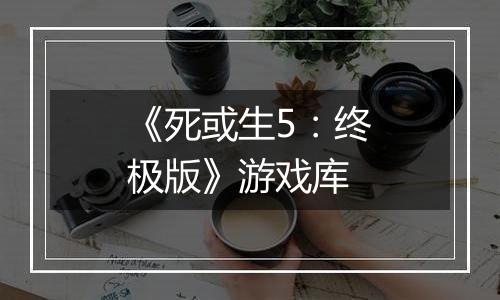 《死或生5：终极版》游戏库