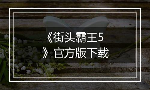 《街头霸王5》官方版下载