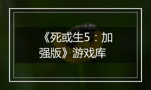 《死或生5：加强版》游戏库