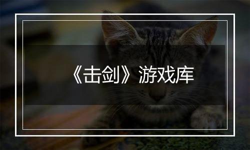 《击剑》游戏库