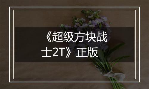 《超级方块战士2T》正版