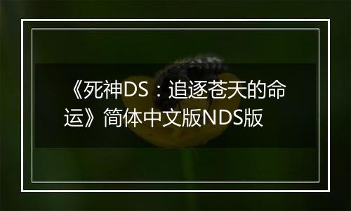 《死神DS：追逐苍天的命运》简体中文版NDS版