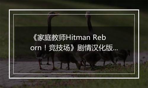 《家庭教师Hitman Reborn！竞技场》剧情汉化版PSP版