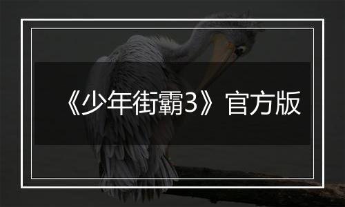 《少年街霸3》官方版