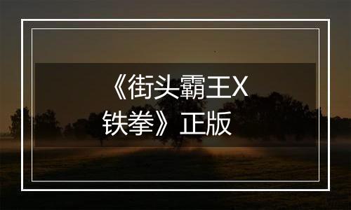 《街头霸王X铁拳》正版