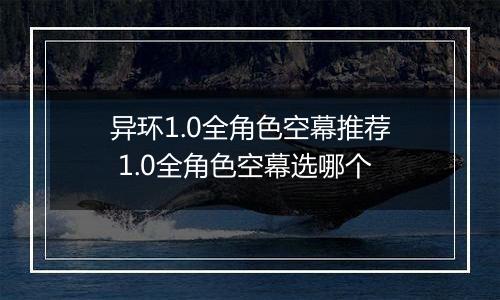 异环1.0全角色空幕推荐 1.0全角色空幕选哪个