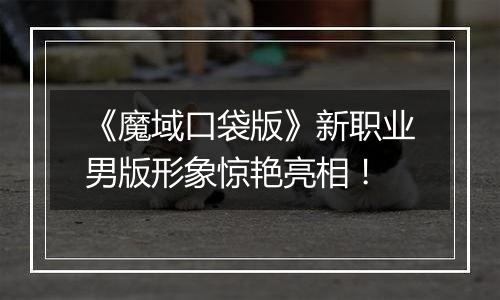 《魔域口袋版》新职业男版形象惊艳亮相！