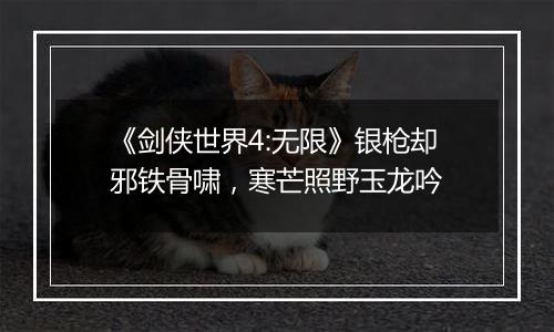 《剑侠世界4:无限》银枪却邪铁骨啸，寒芒照野玉龙吟