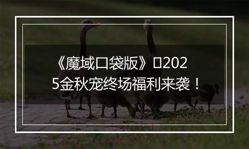 《魔域口袋版》​2025金秋宠终场福利来袭！