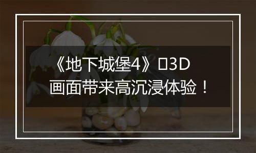 《地下城堡4》3D画面带来高沉浸体验!