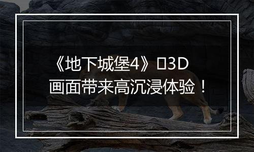 《地下城堡4》​3D画面带来高沉浸体验！