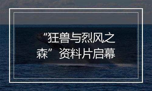 “狂兽与烈风之森”资料片启幕