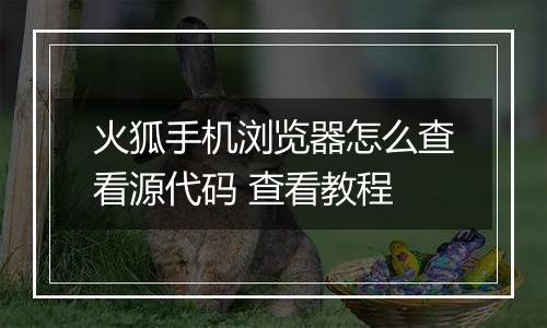 火狐手机浏览器怎么查看源代码 查看教程