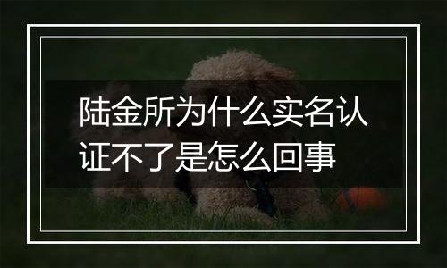 陆金所为什么实名认证不了是怎么回事
