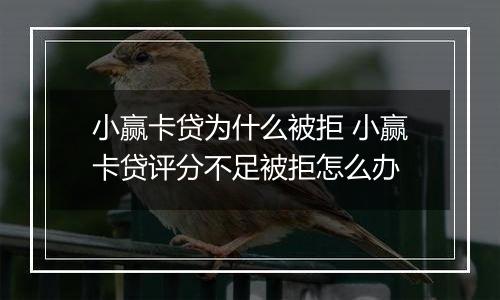 小赢卡贷为什么被拒 小赢卡贷评分不足被拒怎么办