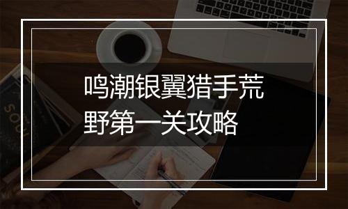 鸣潮银翼猎手荒野第一关攻略