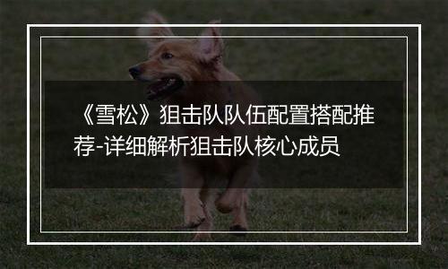 《雪松》狙击队队伍配置搭配推荐-详细解析狙击队核心成员