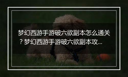 梦幻西游手游破六欲副本怎么通关?梦幻西游手游破六欲副本攻略