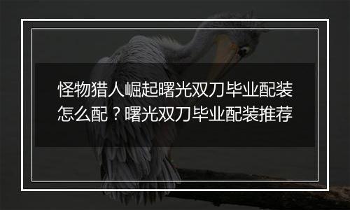 怪物猎人崛起曙光双刀毕业配装怎么配?曙光双刀毕业配装推荐