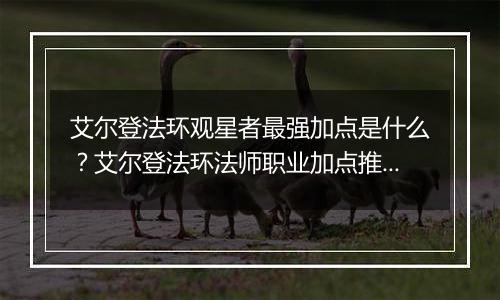 艾尔登法环观星者最强加点是什么?艾尔登法环法师职业加点推荐