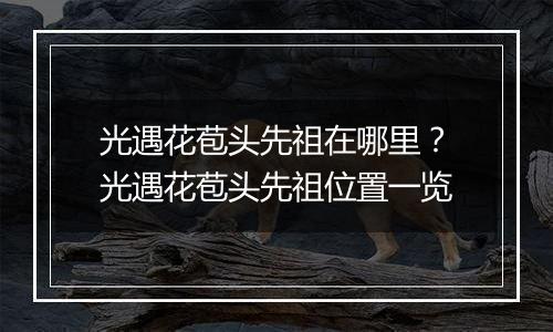 光遇花苞头先祖在哪里？光遇花苞头先祖位置一览