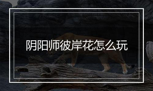 阴阳师彼岸花怎么玩