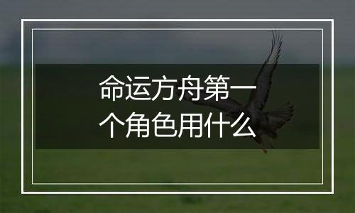 命运方舟第一个角色用什么