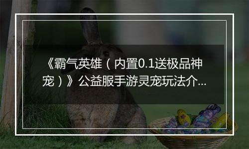 《霸气英雄（内置0.1送极品神宠）》公益服手游灵宠玩法介绍