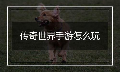 传奇世界手游怎么玩