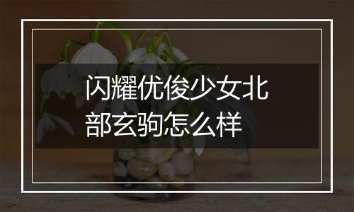 闪耀优俊少女北部玄驹怎么样