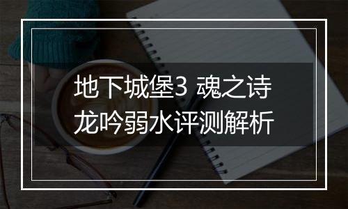 地下城堡3 魂之诗龙吟弱水评测解析