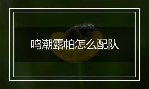 鸣潮露帕怎么配队