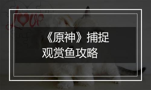 《原神》捕捉观赏鱼攻略