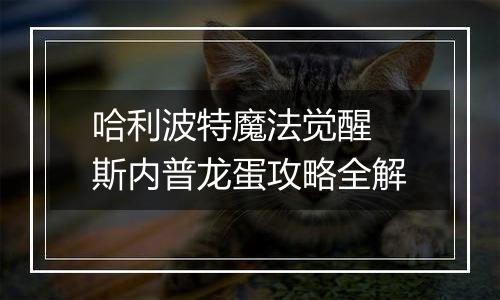 哈利波特魔法觉醒 斯内普龙蛋攻略全解