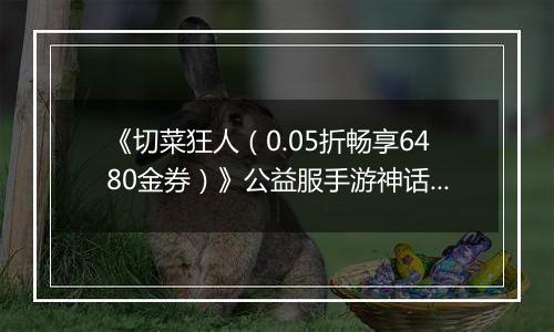 《切菜狂人（0.05折畅享6480金券）》公益服手游神话阵容推荐