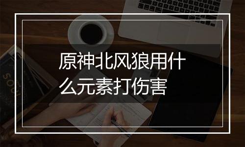 原神北风狼用什么元素打伤害