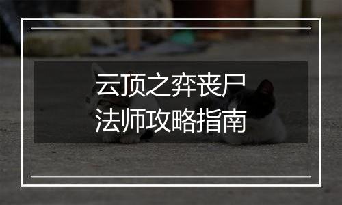 云顶之弈丧尸法师攻略指南