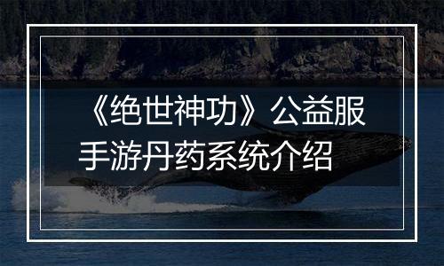 《绝世神功》公益服手游丹药系统介绍