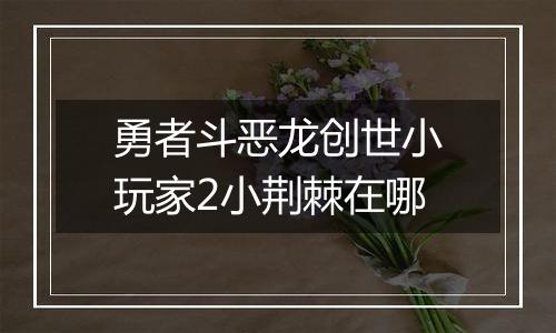 勇者斗恶龙创世小玩家2小荆棘在哪