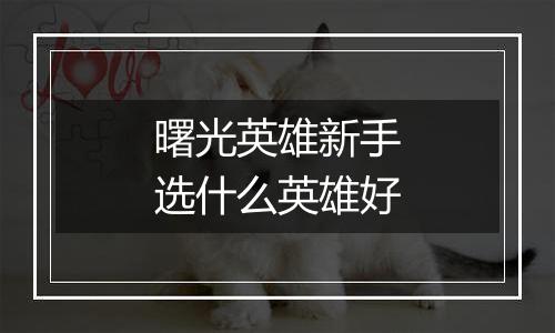 曙光英雄新手选什么英雄好