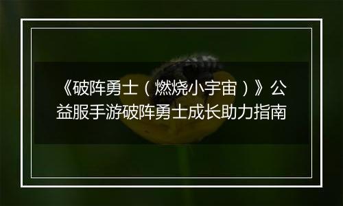 《破阵勇士（燃烧小宇宙）》公益服手游破阵勇士成长助力指南