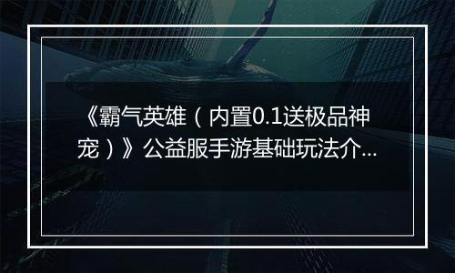 《霸气英雄（内置0.1送极品神宠）》公益服手游基础玩法介绍