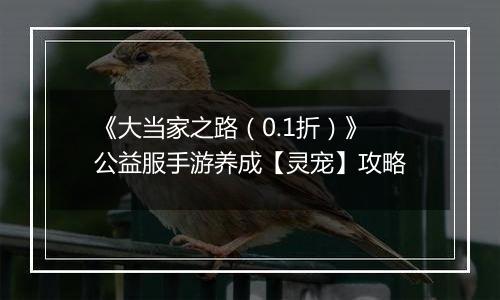 《大当家之路（0.1折）》公益服手游养成【灵宠】攻略