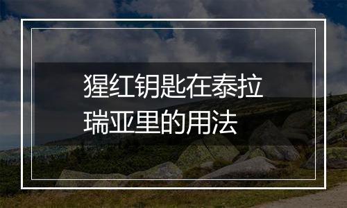 猩红钥匙在泰拉瑞亚里的用法