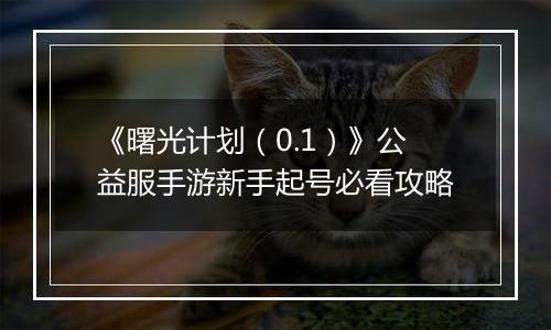 《曙光计划（0.1）》公益服手游新手起号必看攻略