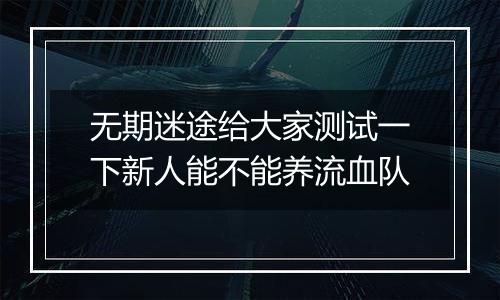 无期迷途给大家测试一下新人能不能养流血队