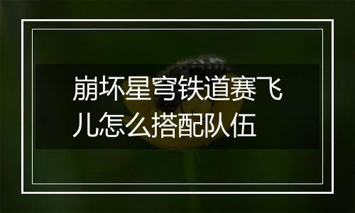 崩坏星穹铁道赛飞儿怎么搭配队伍