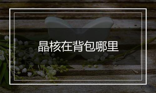 晶核在背包哪里