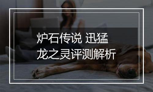 炉石传说 迅猛龙之灵评测解析